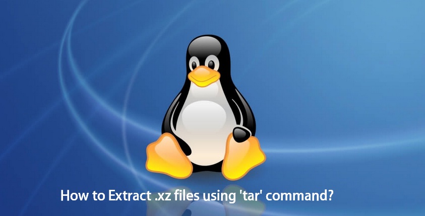 Debian Install Pkg Tar Xz Extract