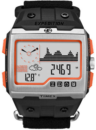 Timex WS4