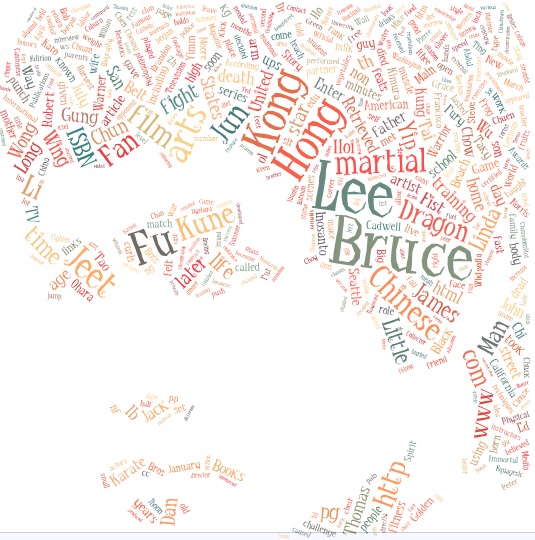 Bruce lee word cloud