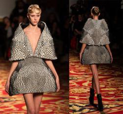 3D Printed Dresses Hit Paris Fashion Week at Iris van Herpen Show ...