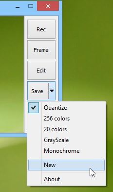 gifcam-options-window