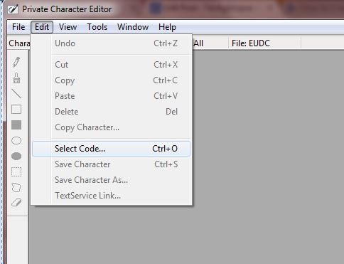 use characters created in private character editor in word