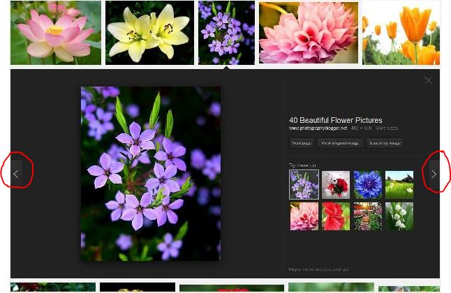 Google Image Search adds Navigation Arrows