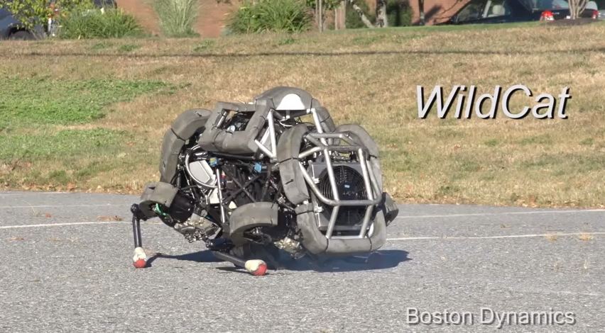 WildCat Robot by Boston Dynamics