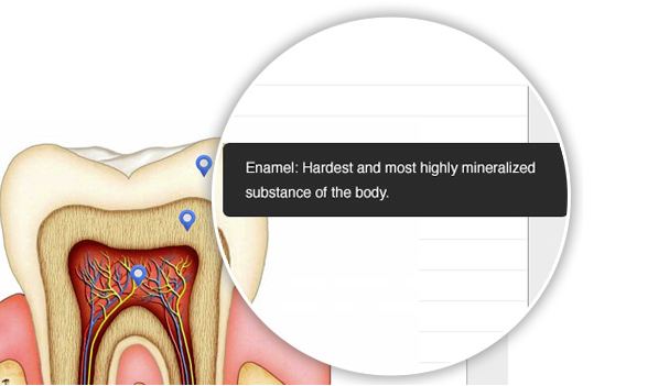 classmint image annotation