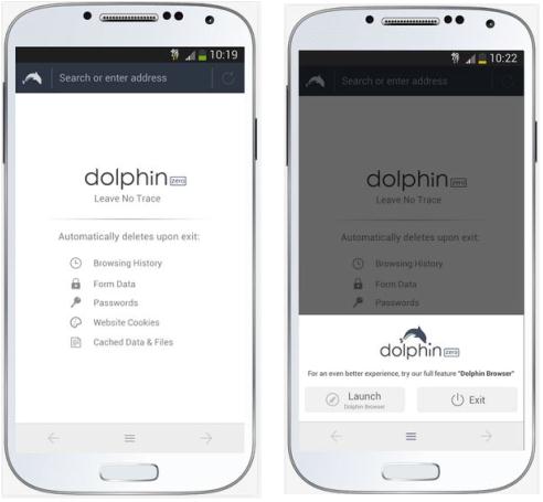 Dolphin Zero private browser