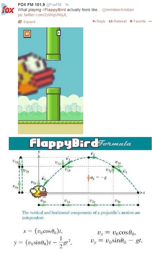 flappy bird win theory