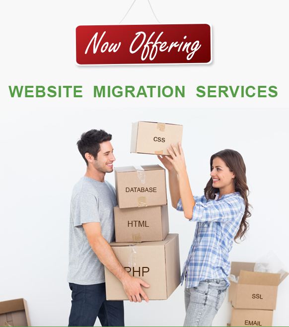 Website Migration Service Reference Image