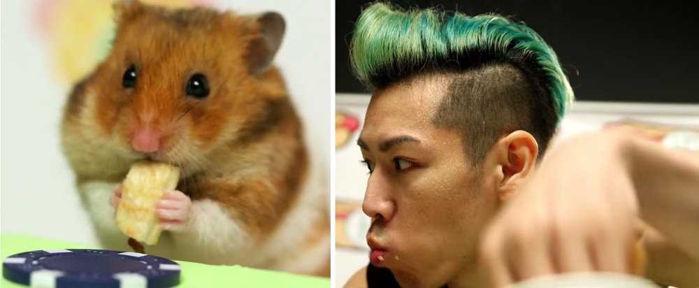 hamster vs kobayashi