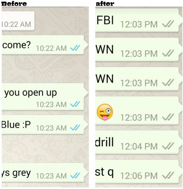 whatsapp check marks on or off doyou eave