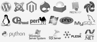 Common Hosting Languages / Platforms