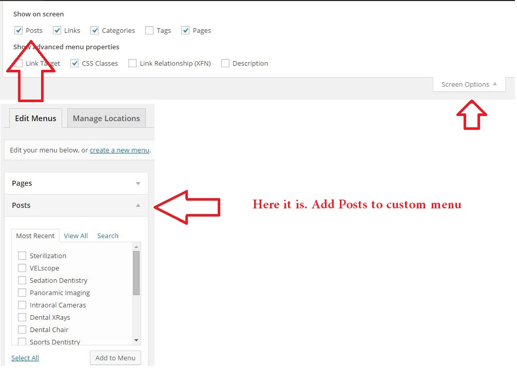 add Posts to Custom Menu in WordPress