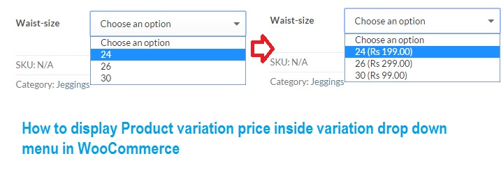display product variation price
