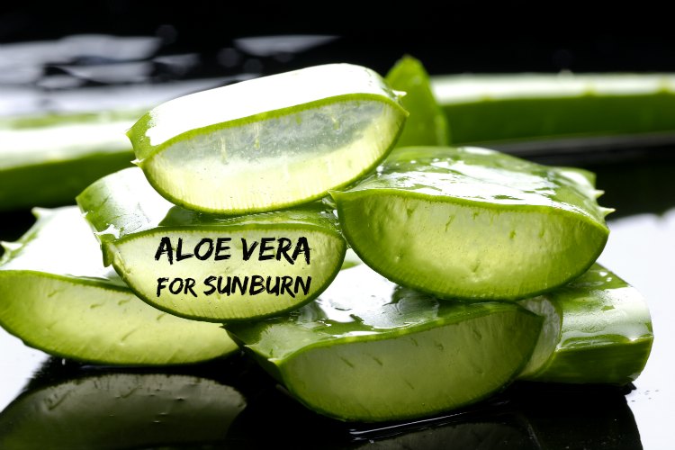 aloevera it