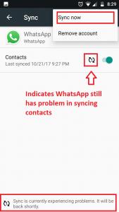 what is my whatsapp number