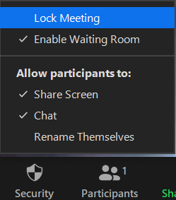 Lock zoom meetings