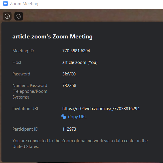 Zoom meeting details info