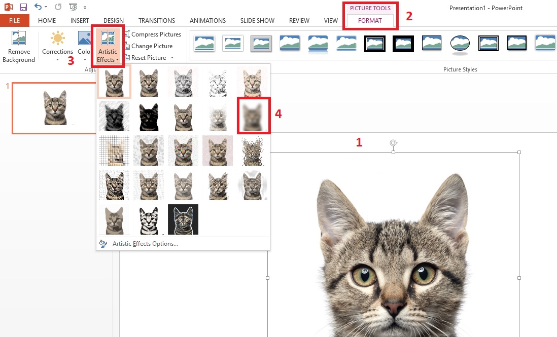 How To Blur Image In Microsoft PowerPoint Techglimpse